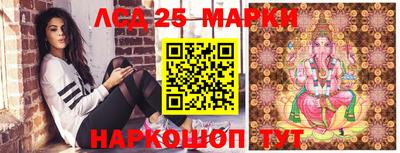 apvp Кингисепп