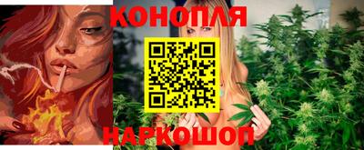 apvp Кингисепп
