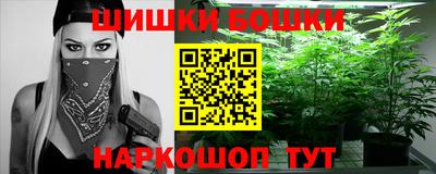 apvp Кингисепп