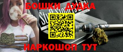 apvp Кингисепп
