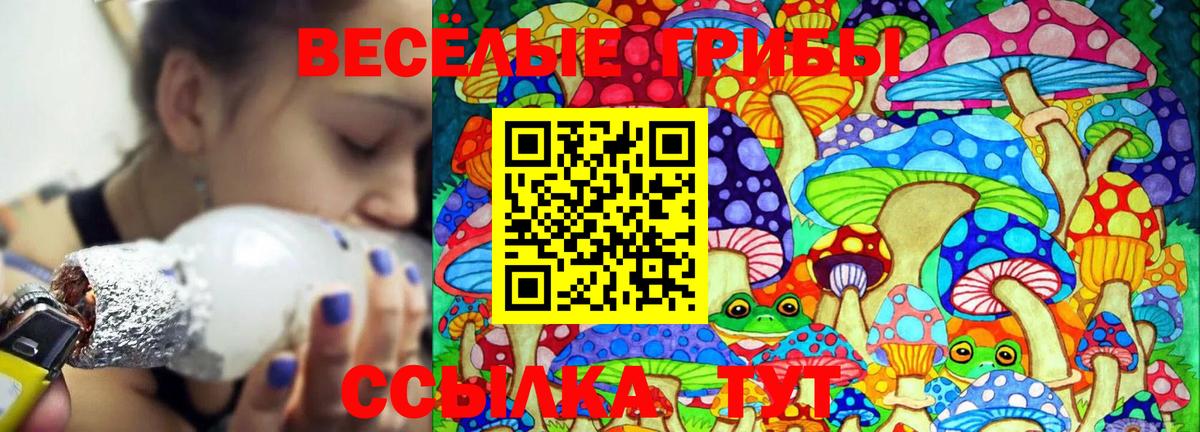 Псилоцибиновые грибы Psilocybine cubensis  Псилоцибиновые грибы GOLDEN TEACHER  Вход с VPN  Красноармейск 